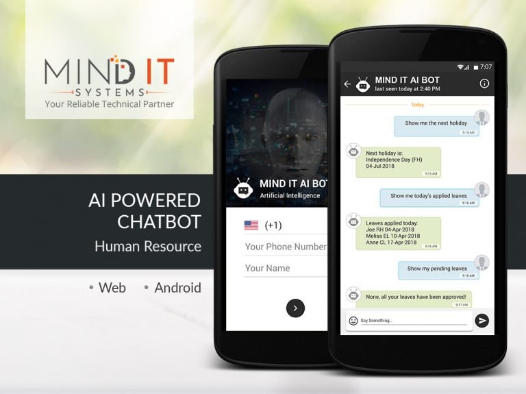 Portfolio - Mind IT Systems