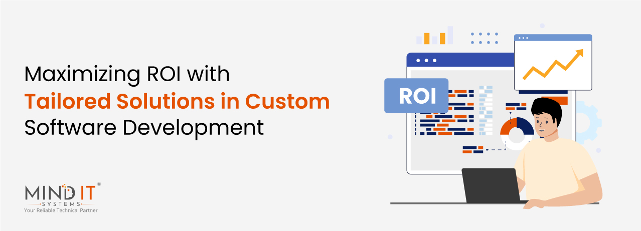 maximize_roi_custom_software